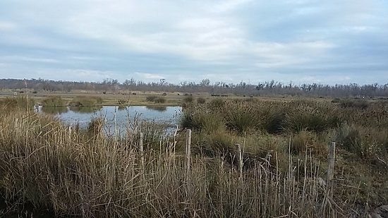 Parc Naturel Régional de Camargue